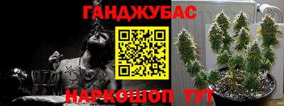 гашик Краснодар