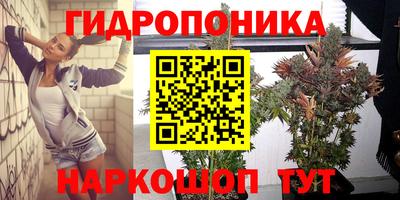 ECSTASY Краснокаменск