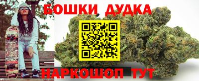 гидра Краснознаменск