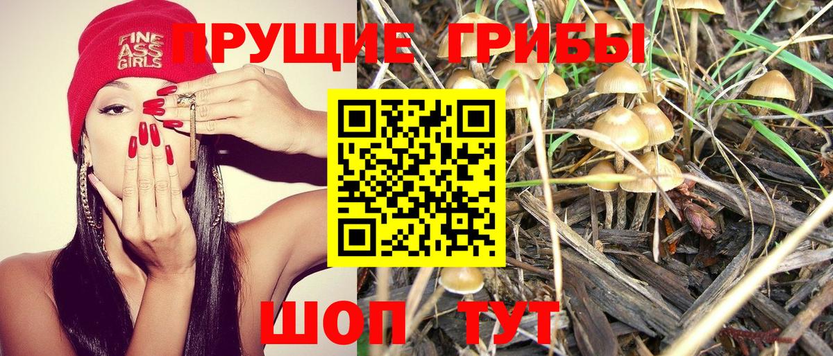 Галлюциногенные грибы GOLDEN TEACHER Керчь